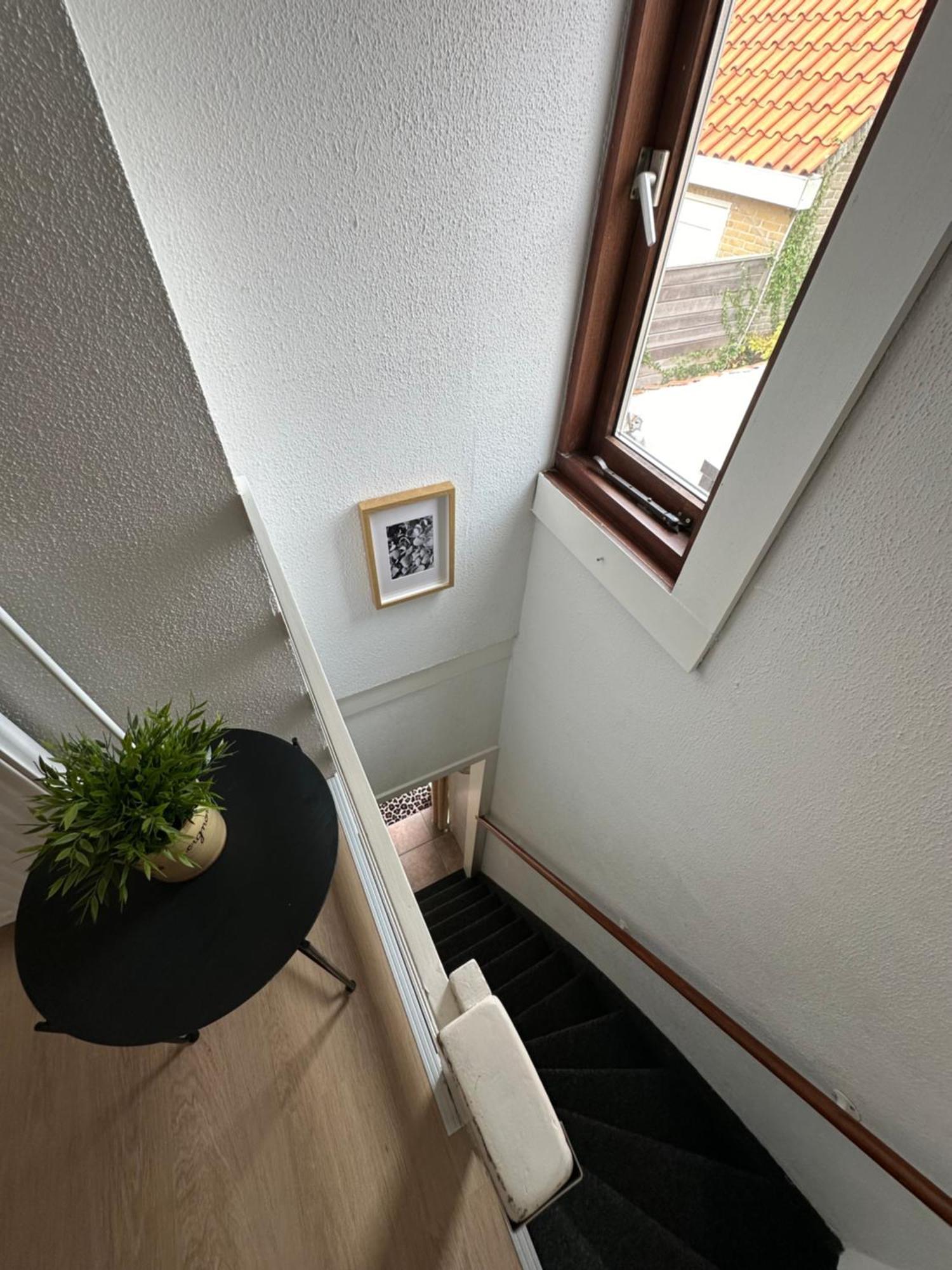 Cosy Home Zandvoort Exterior photo